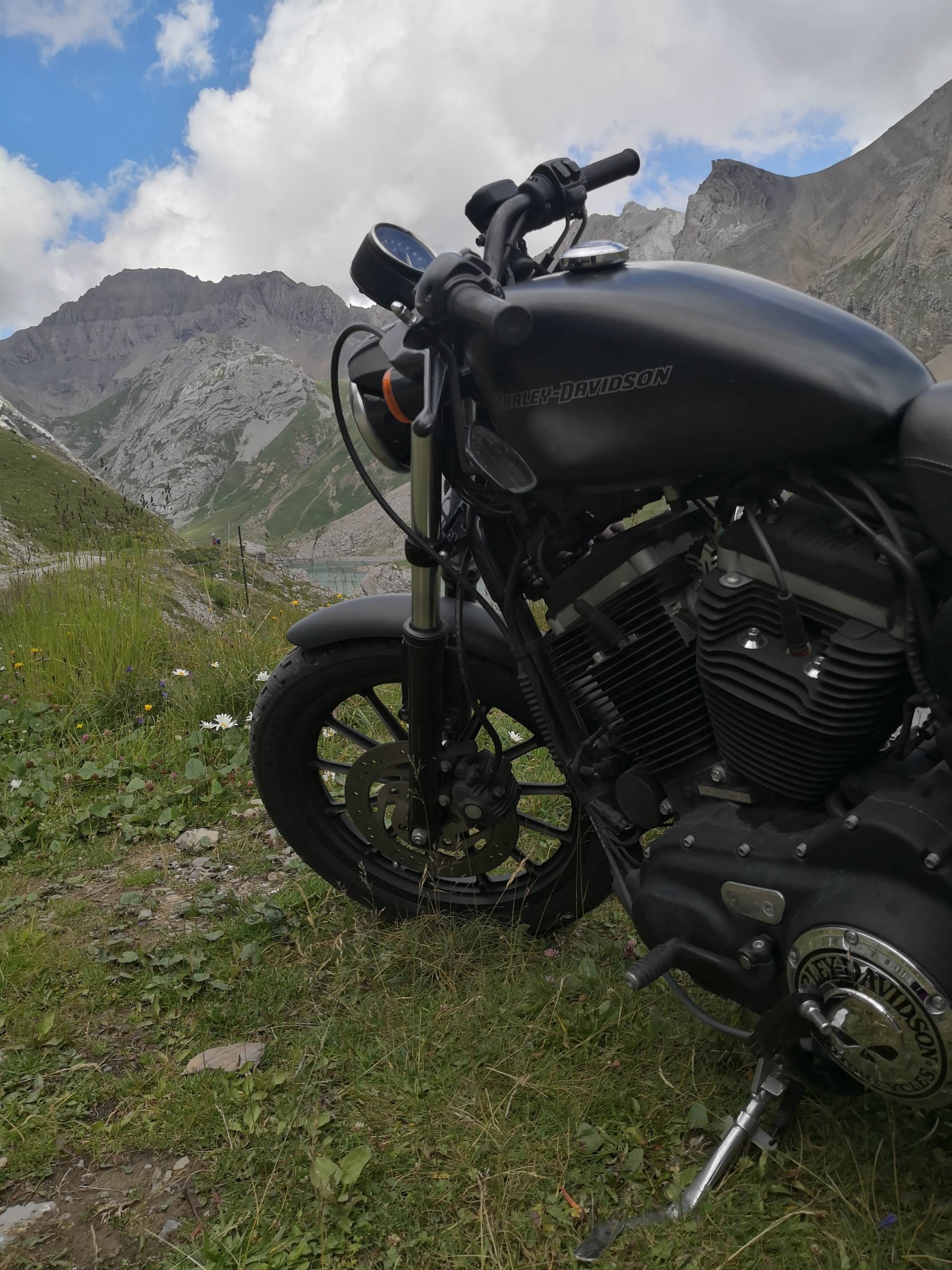 HARLEY-DAVIDSON XL 883 N Sportster Iron-image-4
