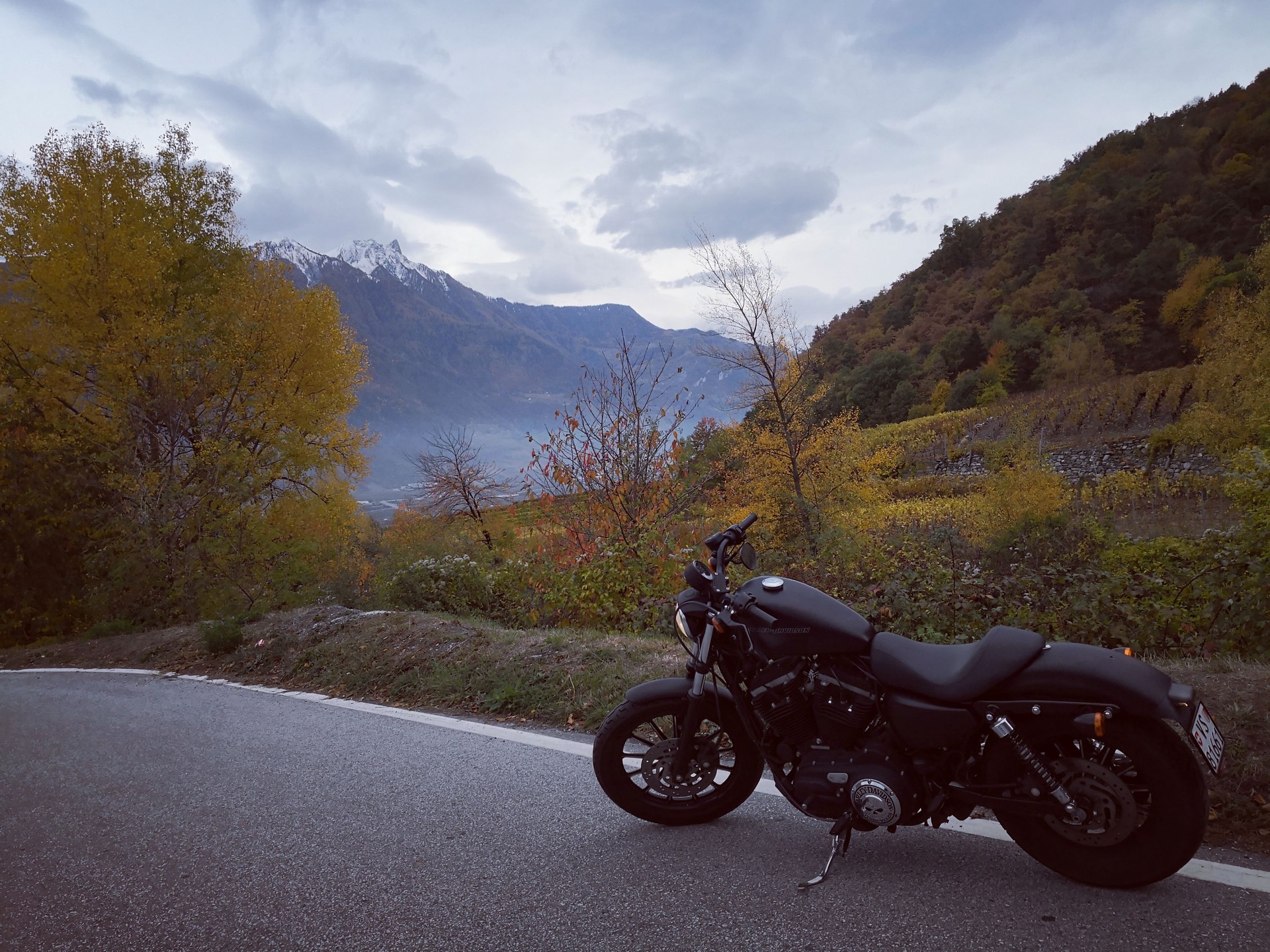 HARLEY-DAVIDSON XL 883 N Sportster Iron-image-1