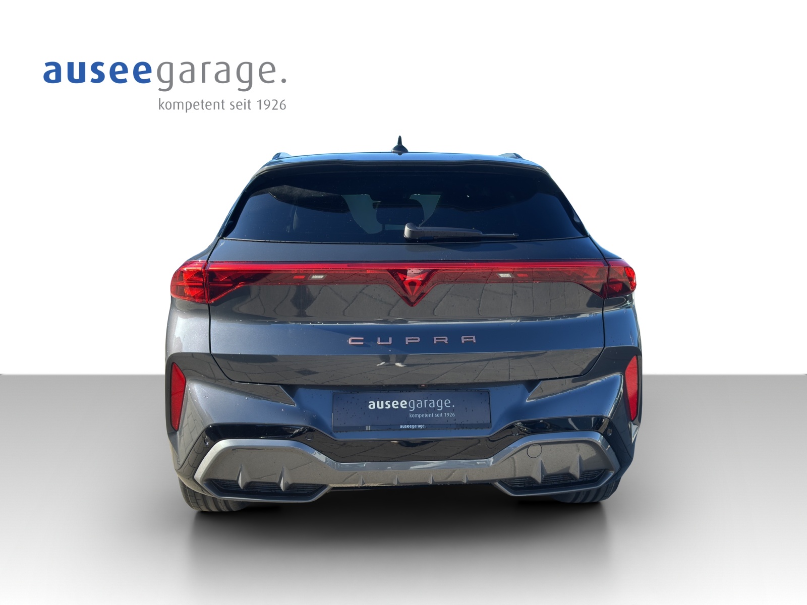 CUPRA Terramar PE2.0TSI 265PS 2000ccm 265PS/195kW 4 Zylinder TSI Benzin-showroom-element-3