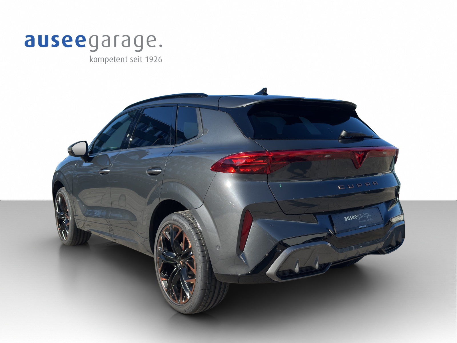 CUPRA Terramar PE2.0TSI 265PS 2000ccm 265PS/195kW 4 Zylinder TSI Benzin-showroom-element-2