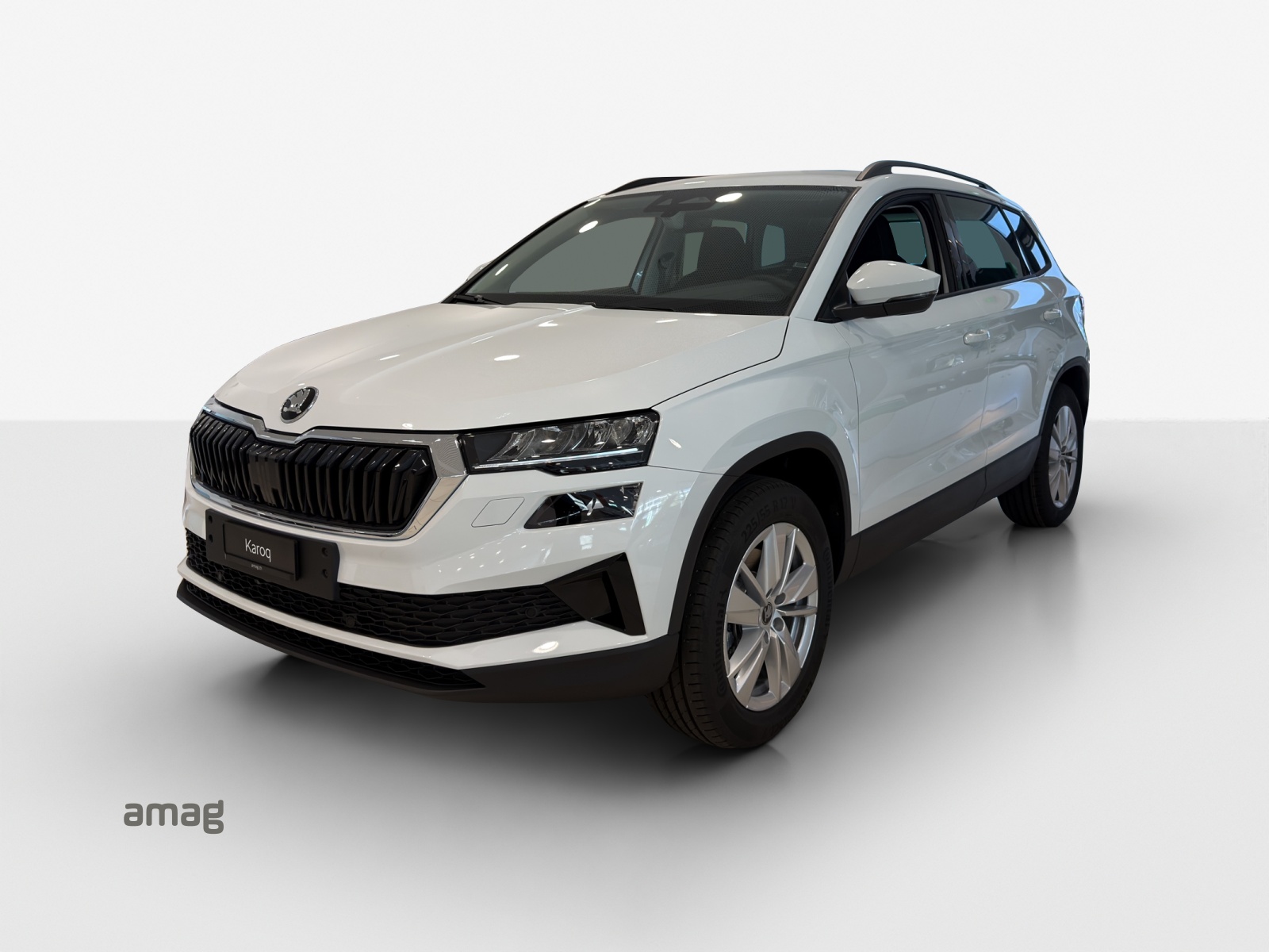 SKODA Karoq 2.0 TDI CR Selection 4x4 DSG