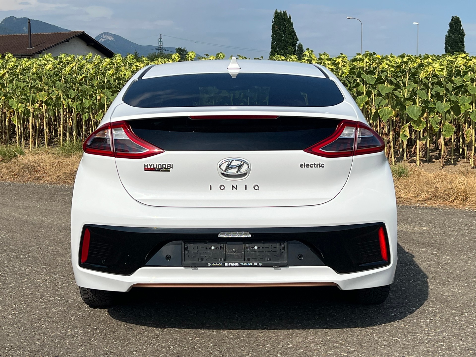 HYUNDAI Ioniq Vertex-image-4