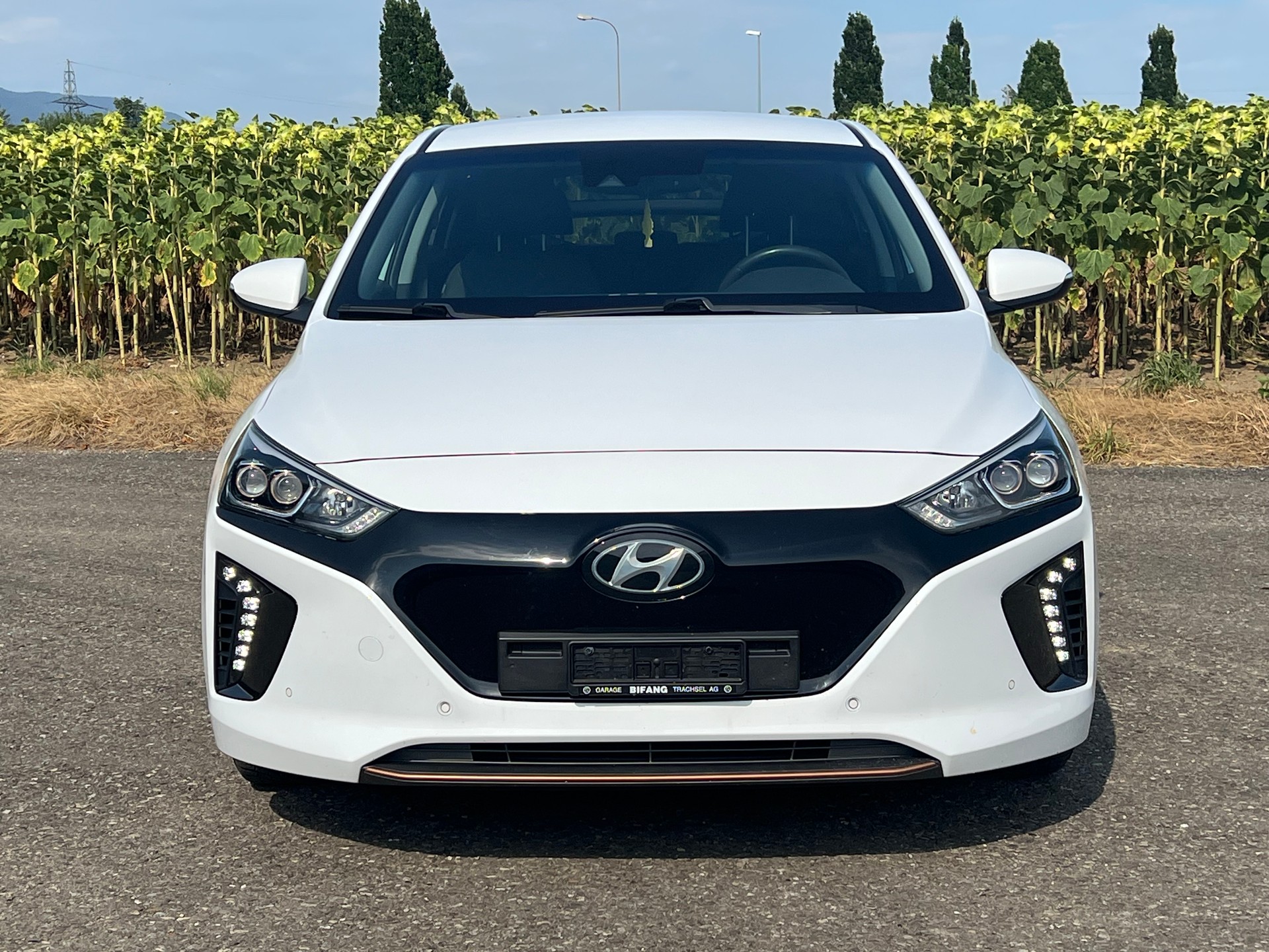 HYUNDAI Ioniq Vertex-image-1