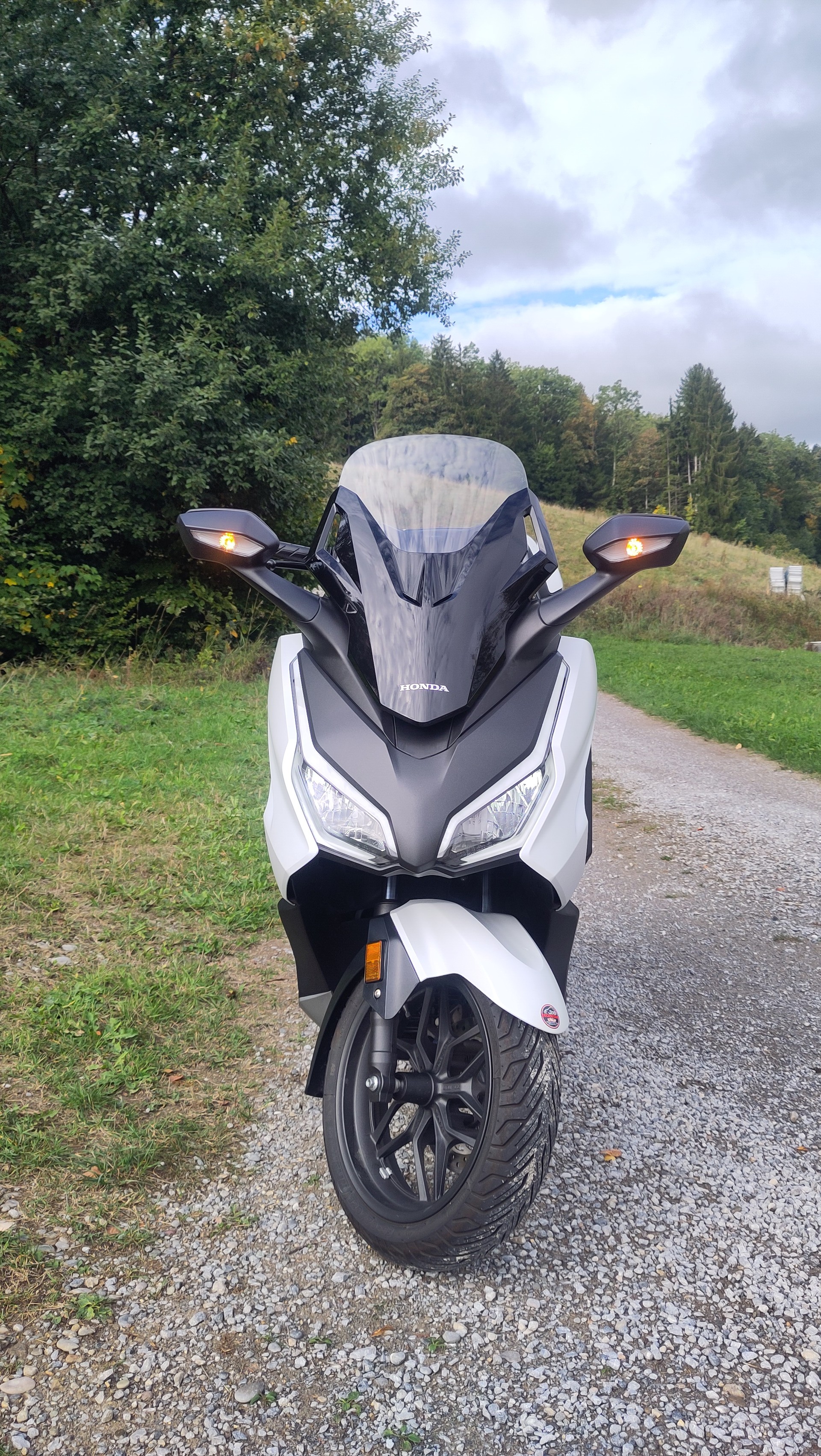 HONDA NSS 350 Smart Top Box-image-2