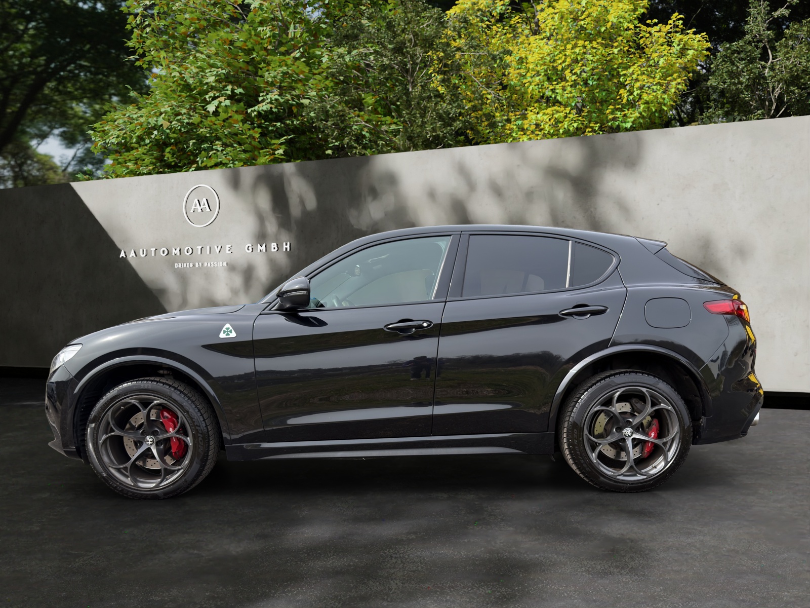 ALFA ROMEO Stelvio 2.9 V6 Quadrifoglio Q4 Automatic-showroom-element-2