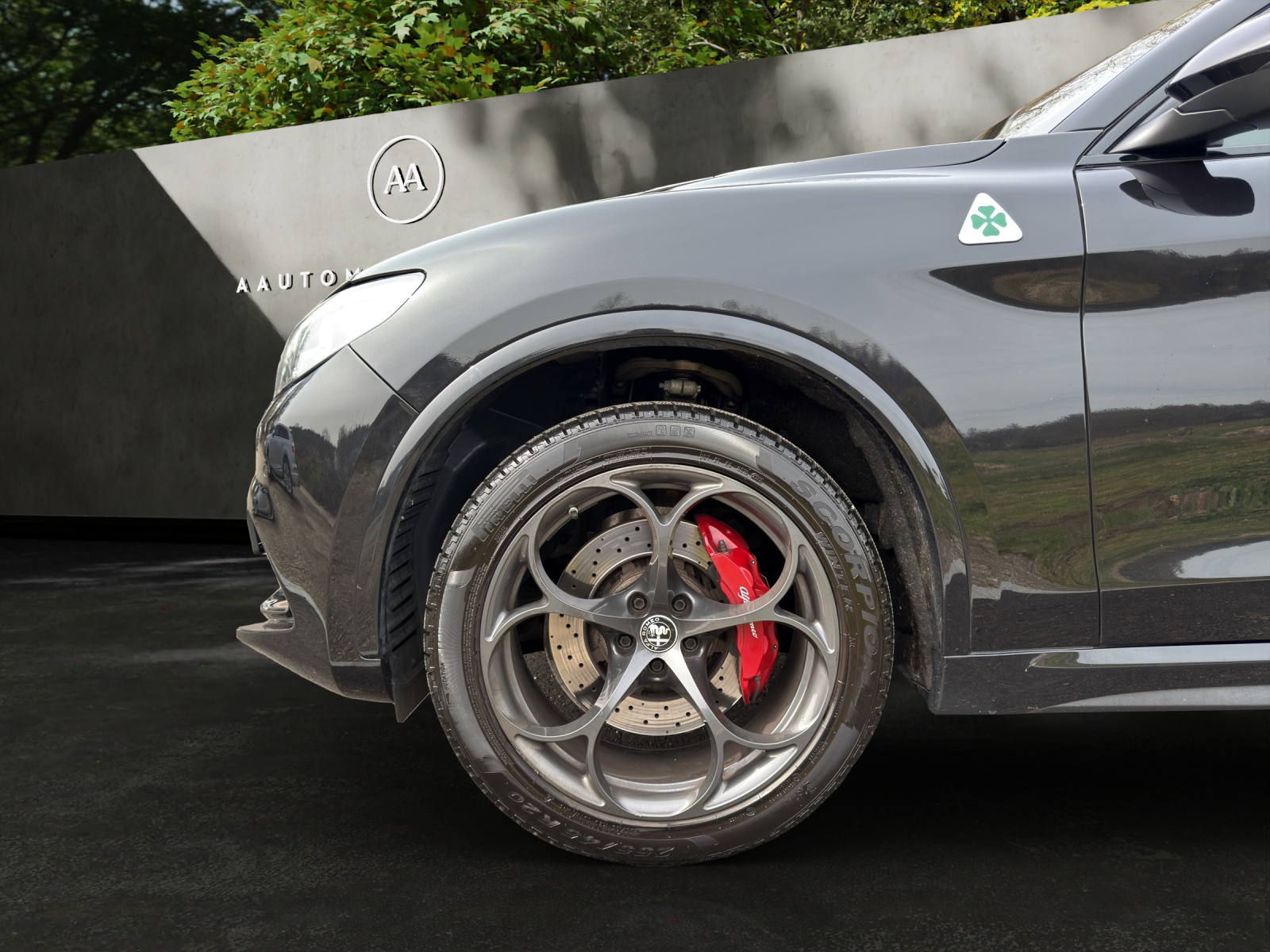 ALFA ROMEO Stelvio 2.9 V6 Quadrifoglio Q4 Automatic-image-16