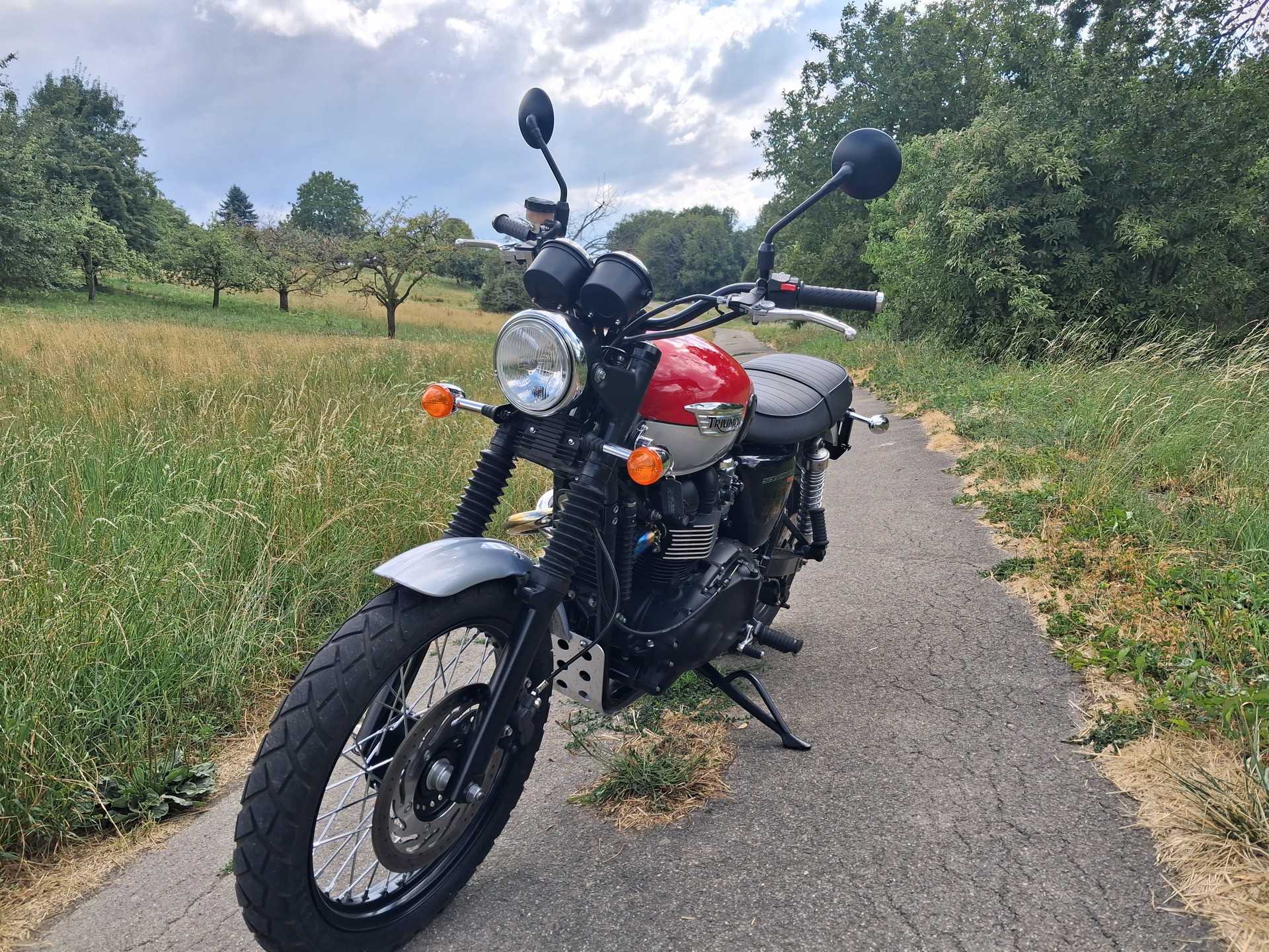 TRIUMPH Scrambler 900-image-3