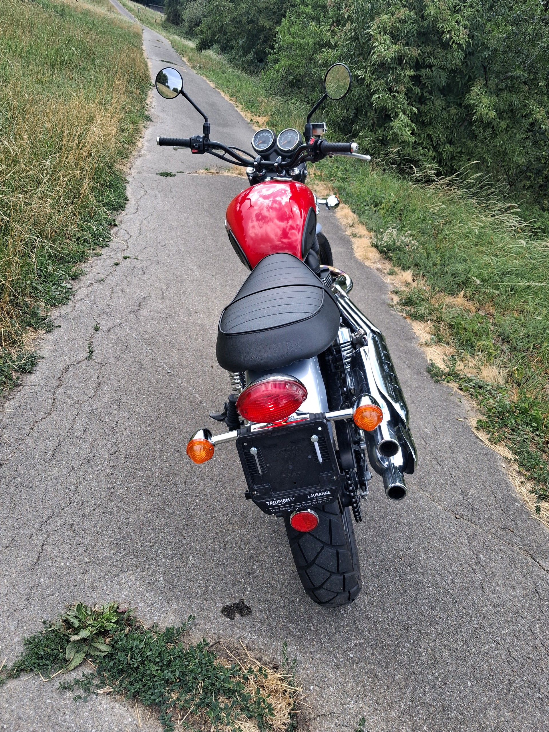 TRIUMPH Scrambler 900-image-5