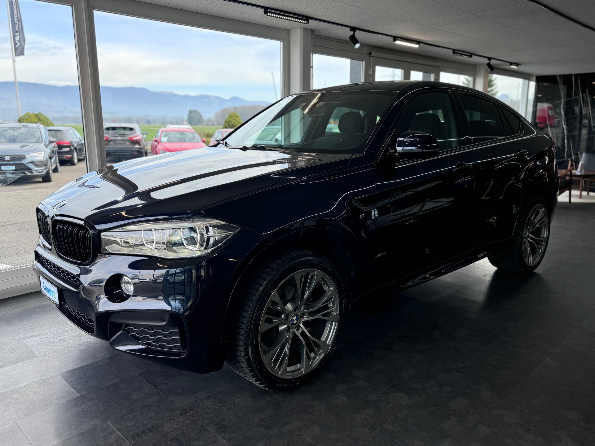 BMW X6 xDrive 30d M Sport Steptronic-showroom-element-2