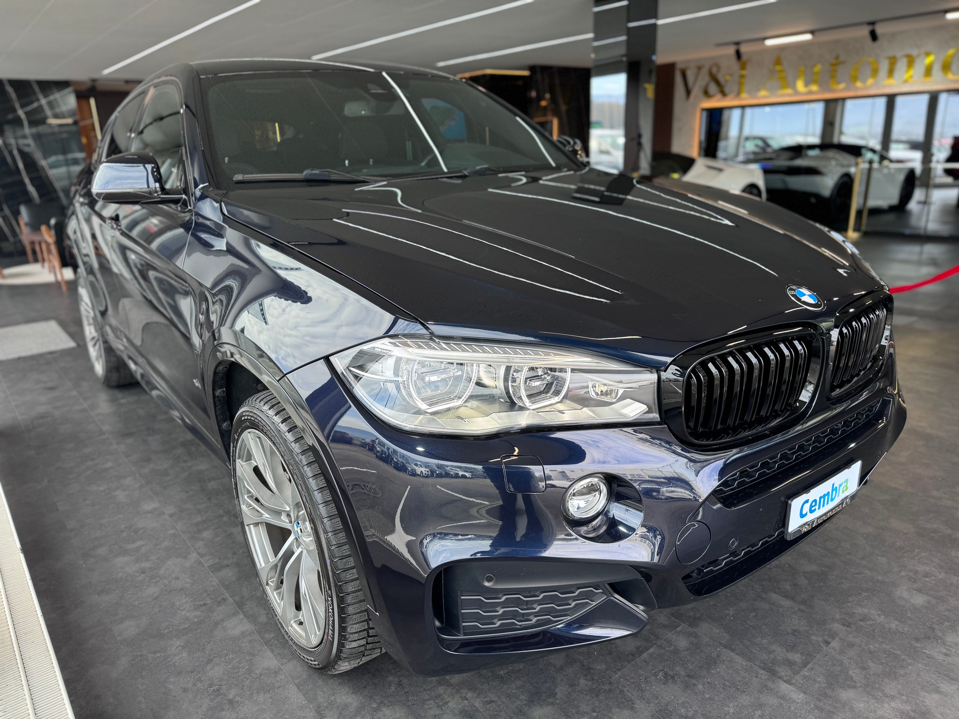 BMW X6 xDrive 30d M Sport Steptronic-showroom-element-3