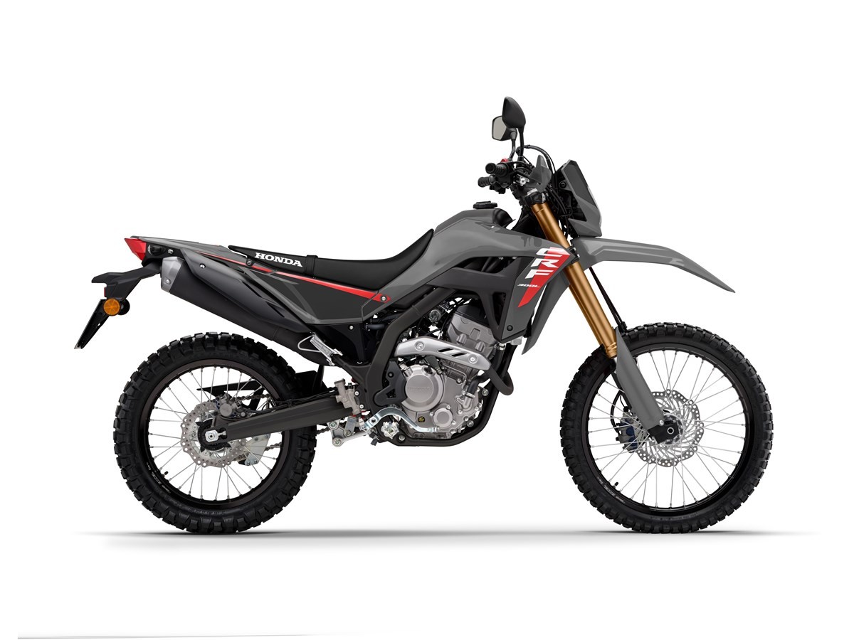 HONDA CRF 300 L-image-5