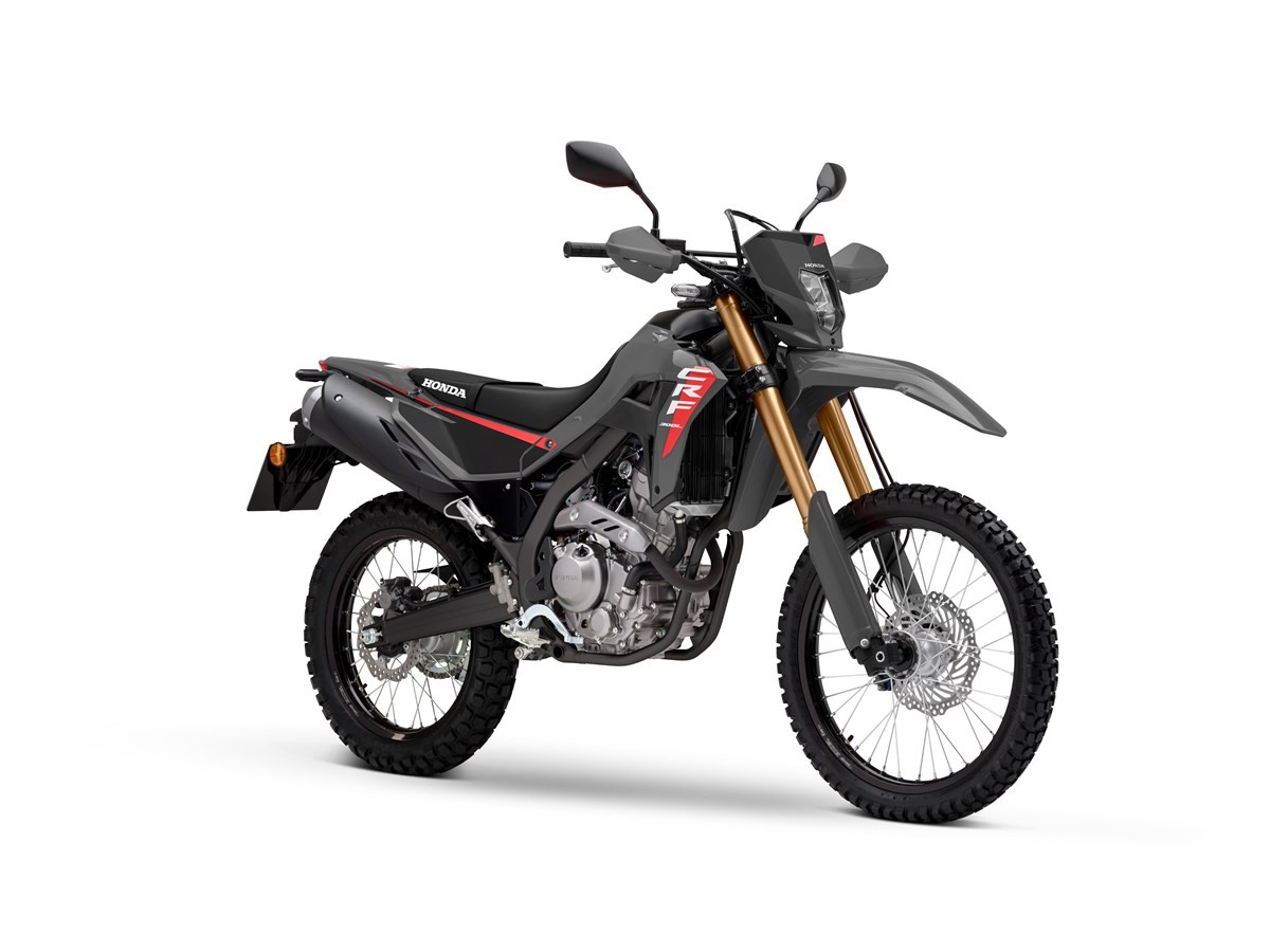 HONDA CRF 300 L-image-4