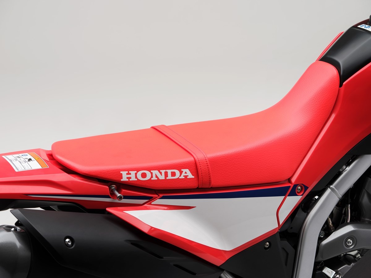 HONDA CRF 300 L-image-10