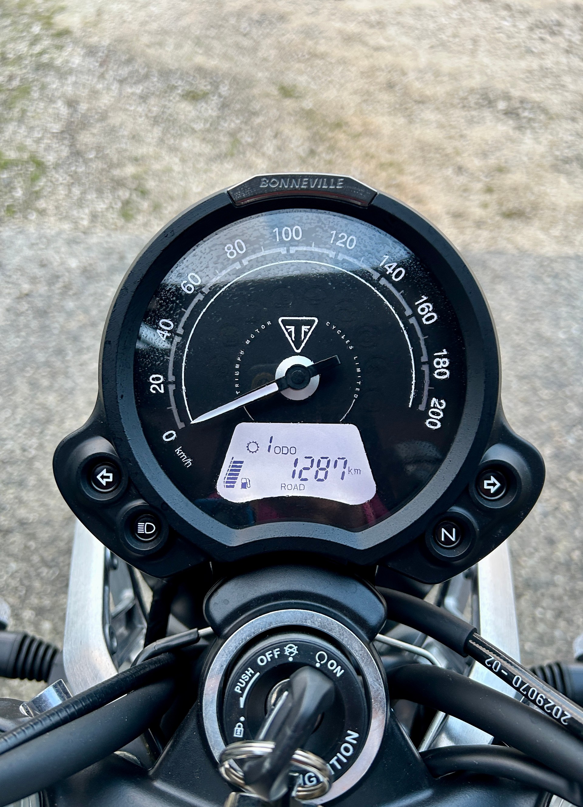 TRIUMPH Speed Twin 900-image-3