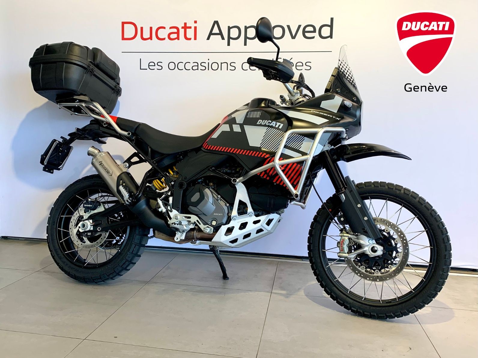 DUCATI Desert X-image-0