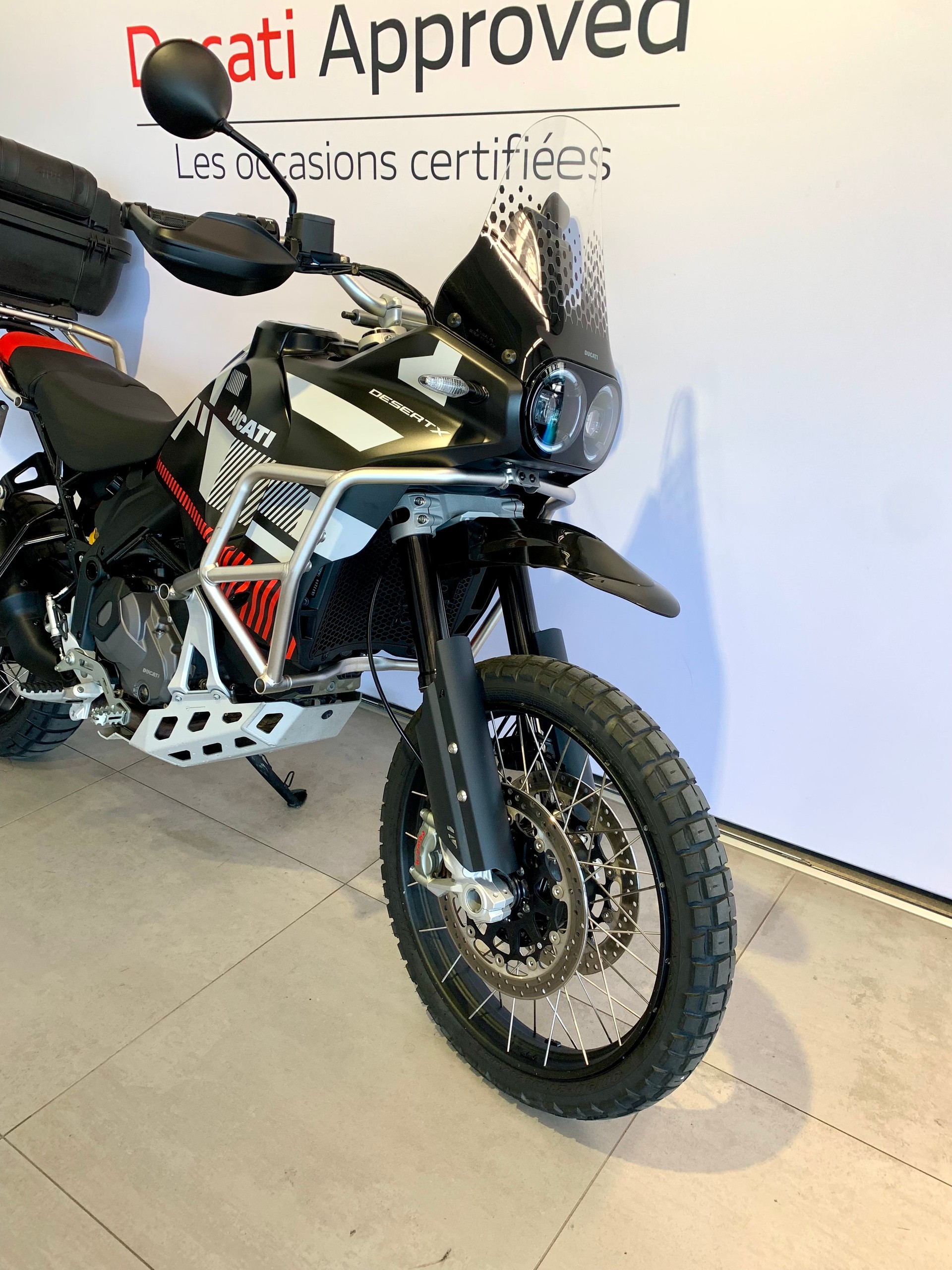 DUCATI Desert X-image-3