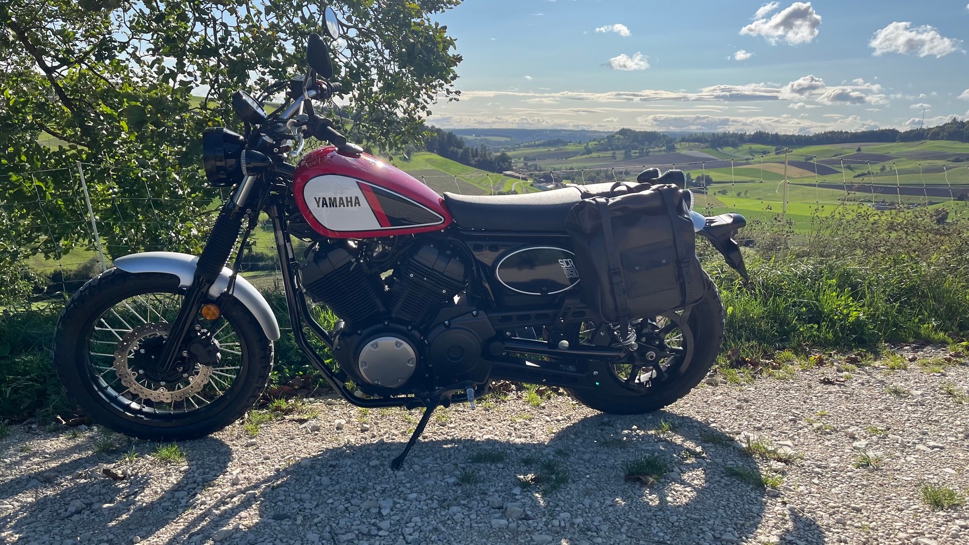 YAMAHA SCR 950 ABS-image-5