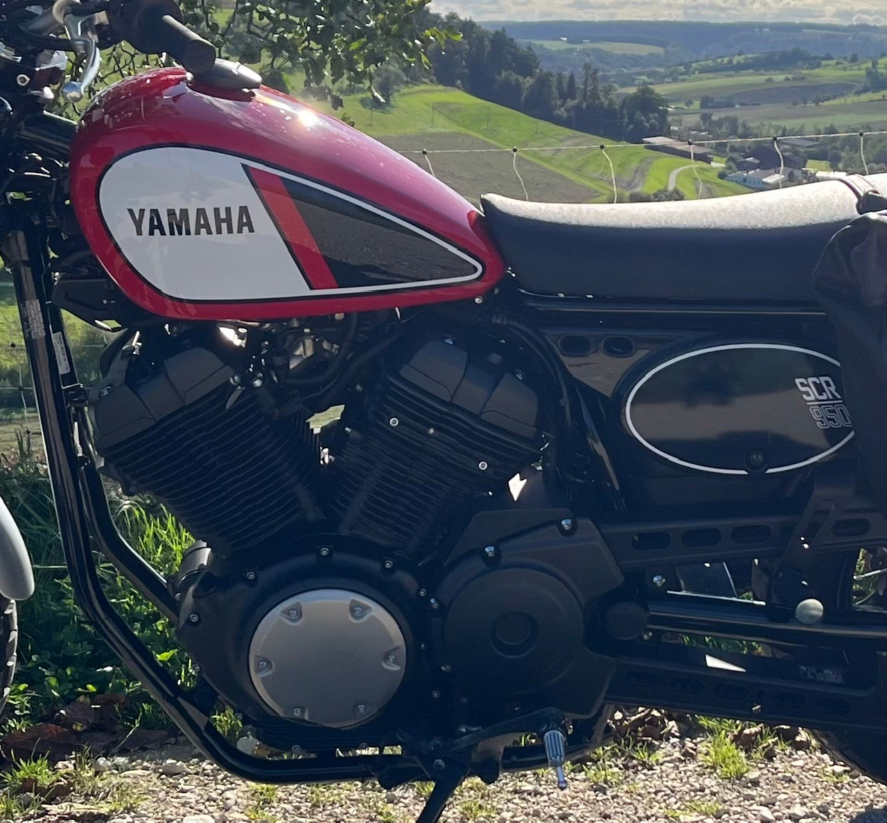 YAMAHA SCR 950 ABS-image-4