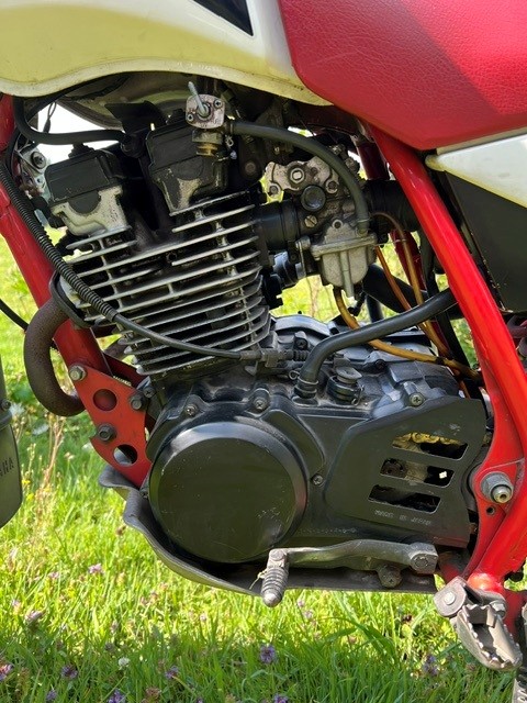 YAMAHA XT 250-image-4