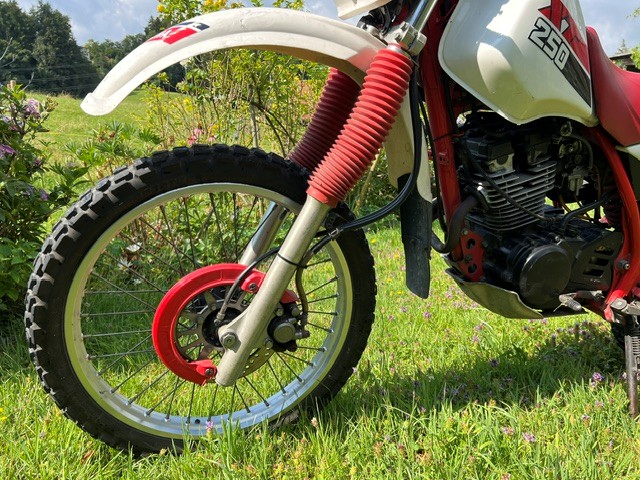 YAMAHA XT 250-image-2