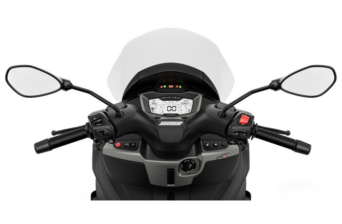PIAGGIO MP3 310 Euro 5+-image-8