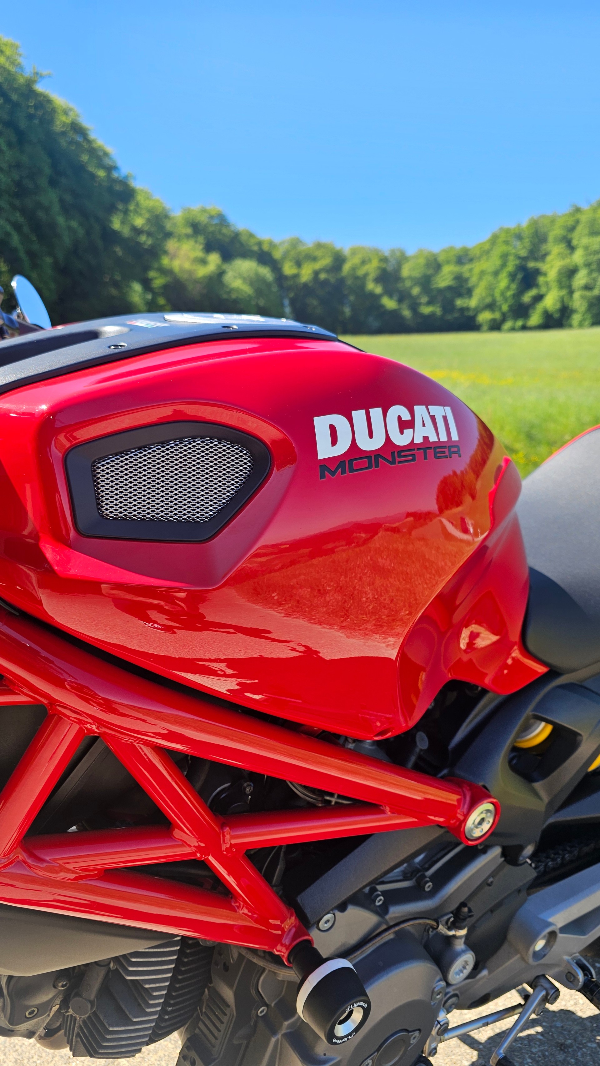 DUCATI Monster 696M-image-6