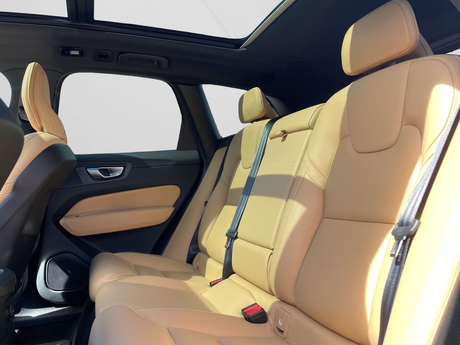 VOLVO XC60 2.0 T6 TE Ultimate Dark eAWD-image-13