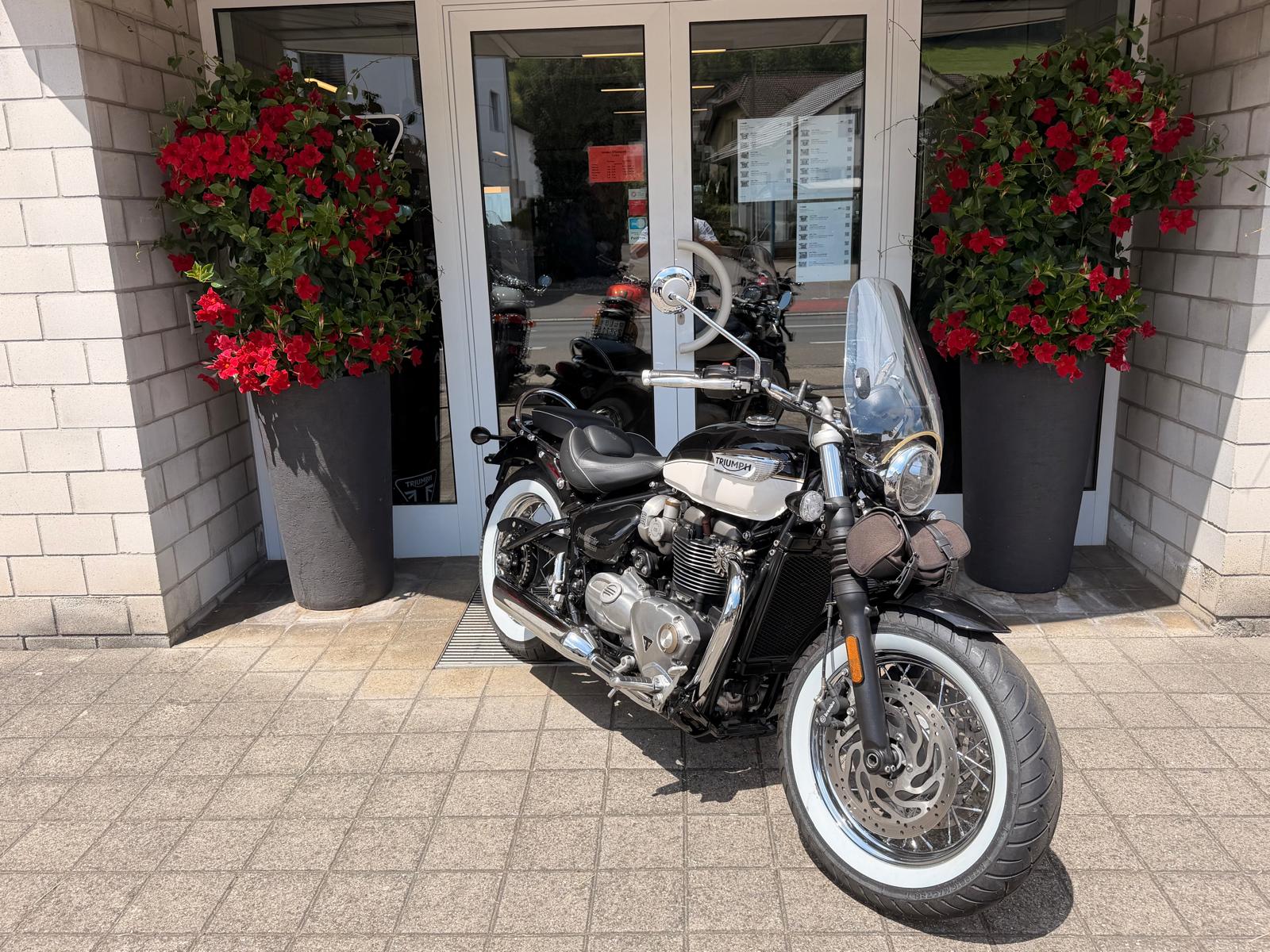 TRIUMPH Bonneville 1200 Speedmaster-image-2