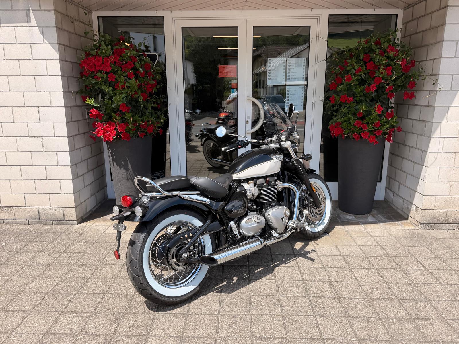 TRIUMPH Bonneville 1200 Speedmaster-image-3