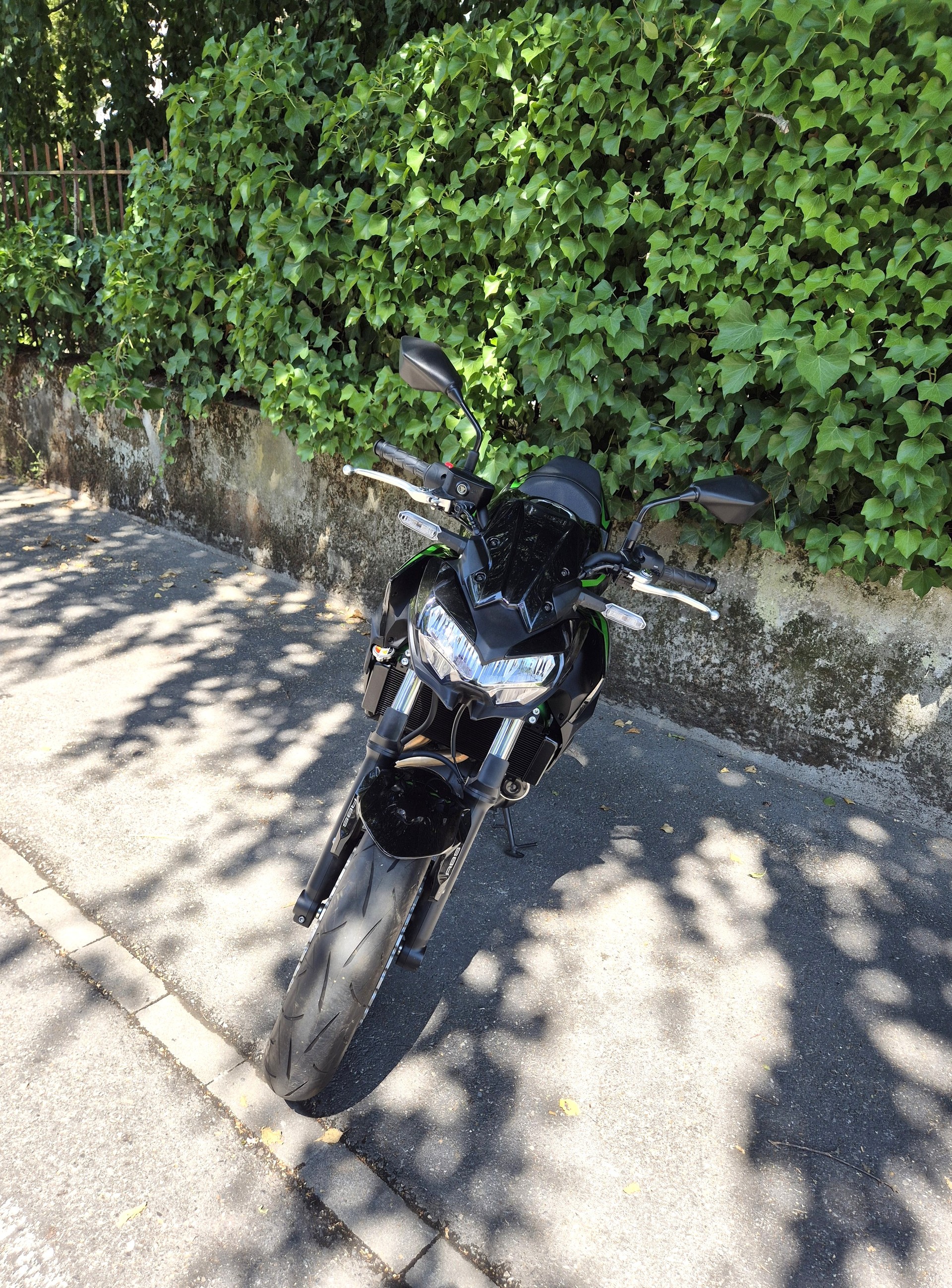 KAWASAKI Z 650 (35kW)-image-6