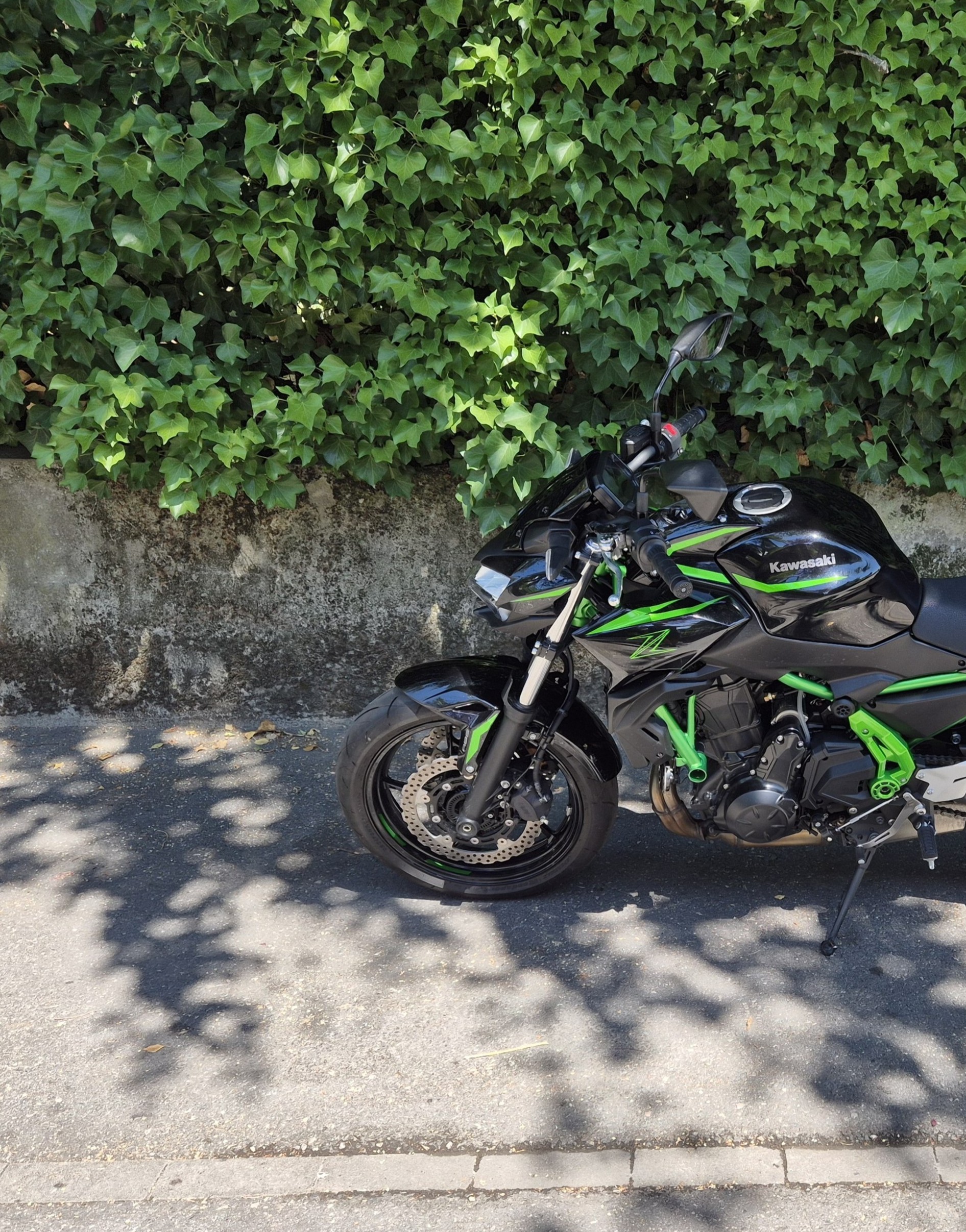 KAWASAKI Z 650 (35kW)-image-10