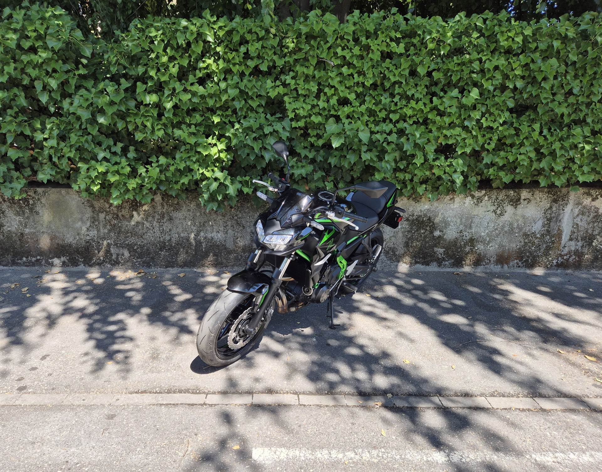 KAWASAKI Z 650 (35kW)-image-3