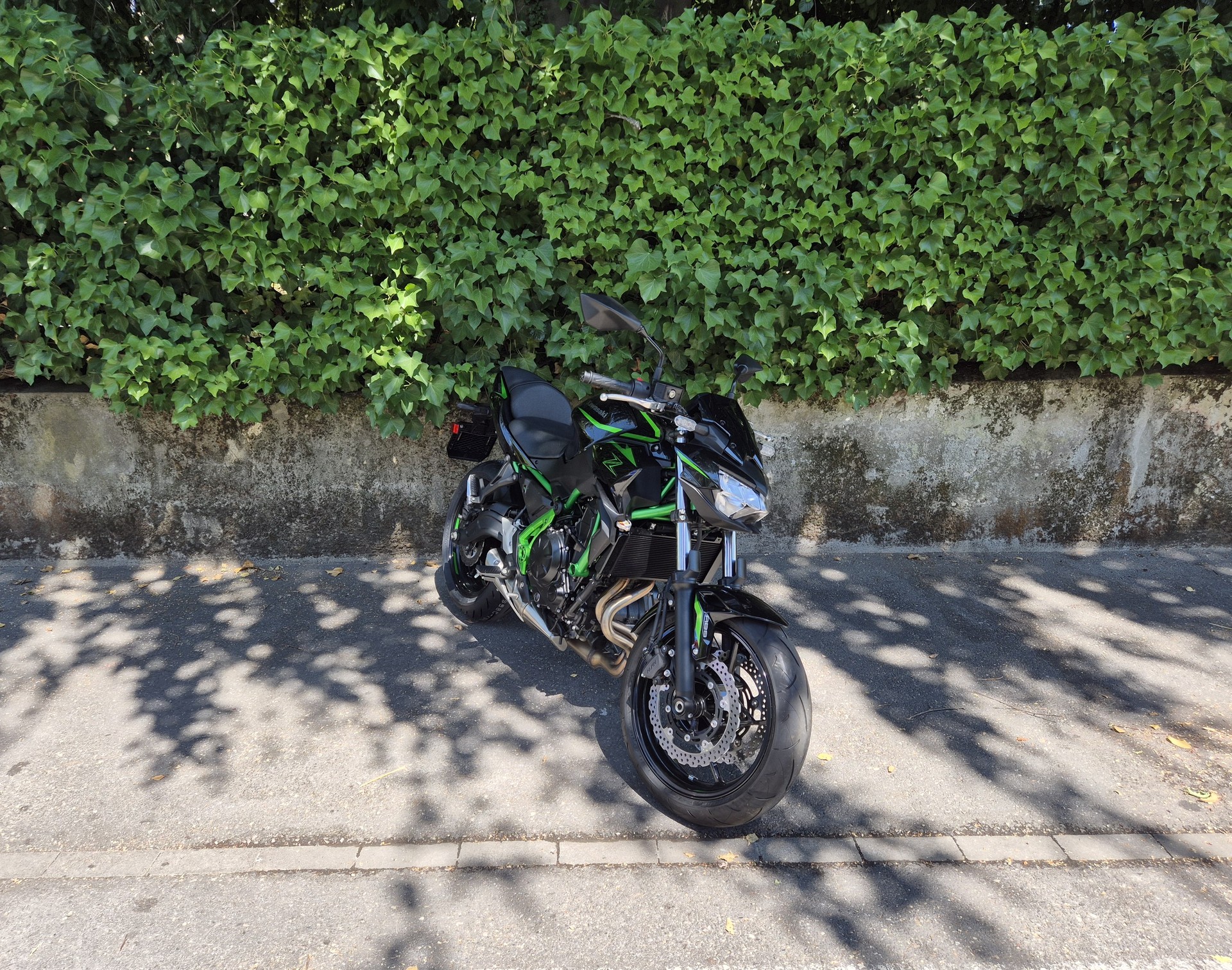 KAWASAKI Z 650 (35kW)-image-4