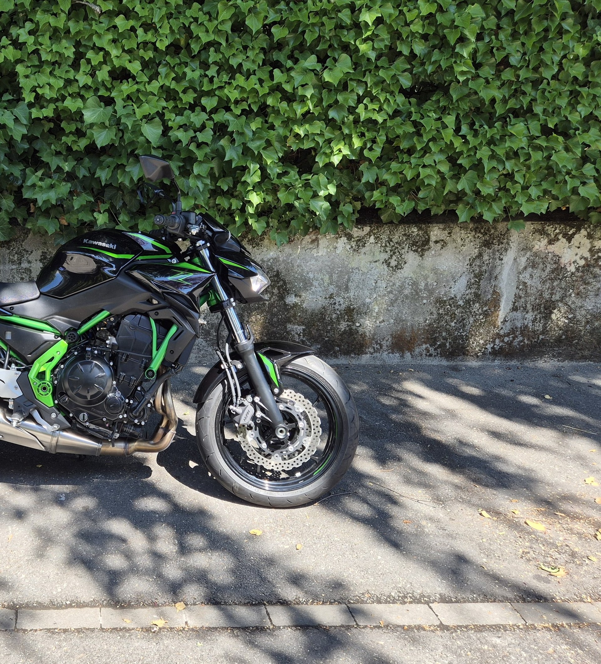 KAWASAKI Z 650 (35kW)-image-12