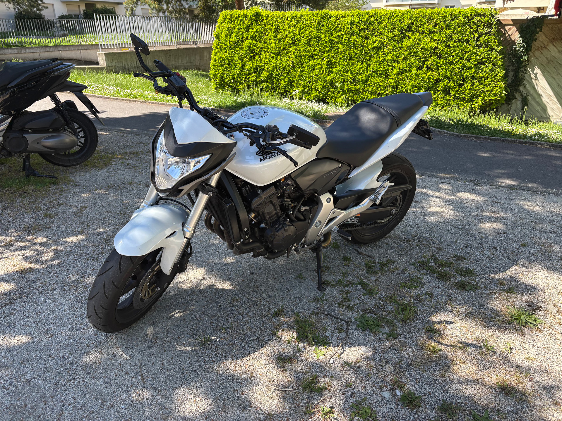HONDA CB 600 F ABS Hornet-image-4