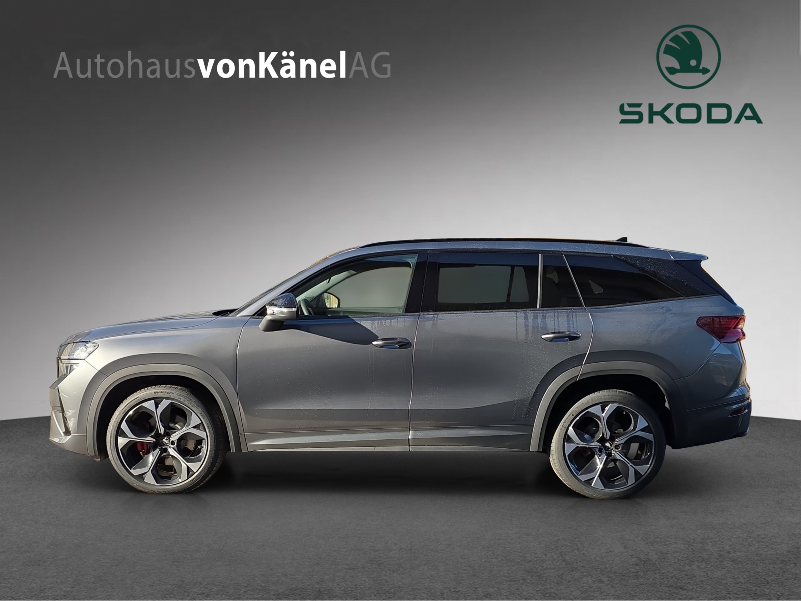 SKODA Kodiaq 2.0 TSI RS 4x4-showroom-element-1