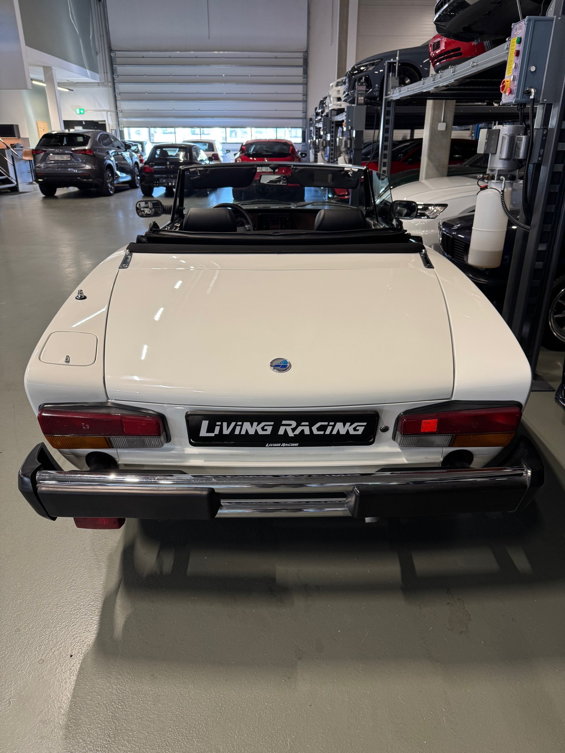 PININFARINA SPIDEREUROPA *Vétéran*-image-3