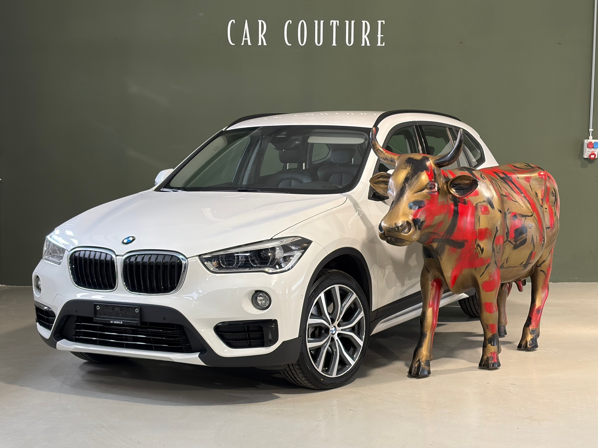 BMW X1 xDrive 20d Sport Line Steptronic*CH-Fahrzeug*