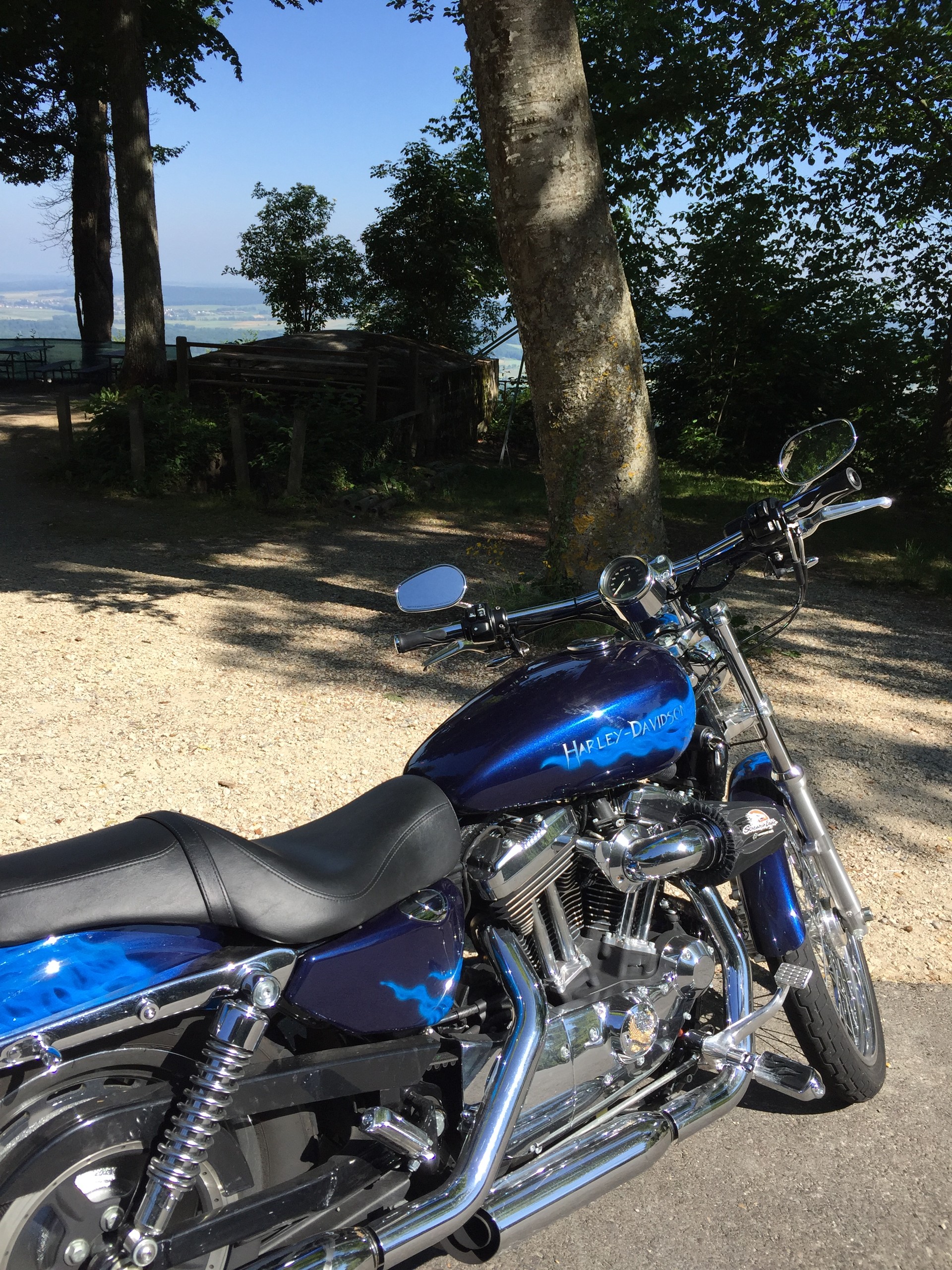 HARLEY-DAVIDSON XL 1200 C Sportster Custom Anniversary-image-2