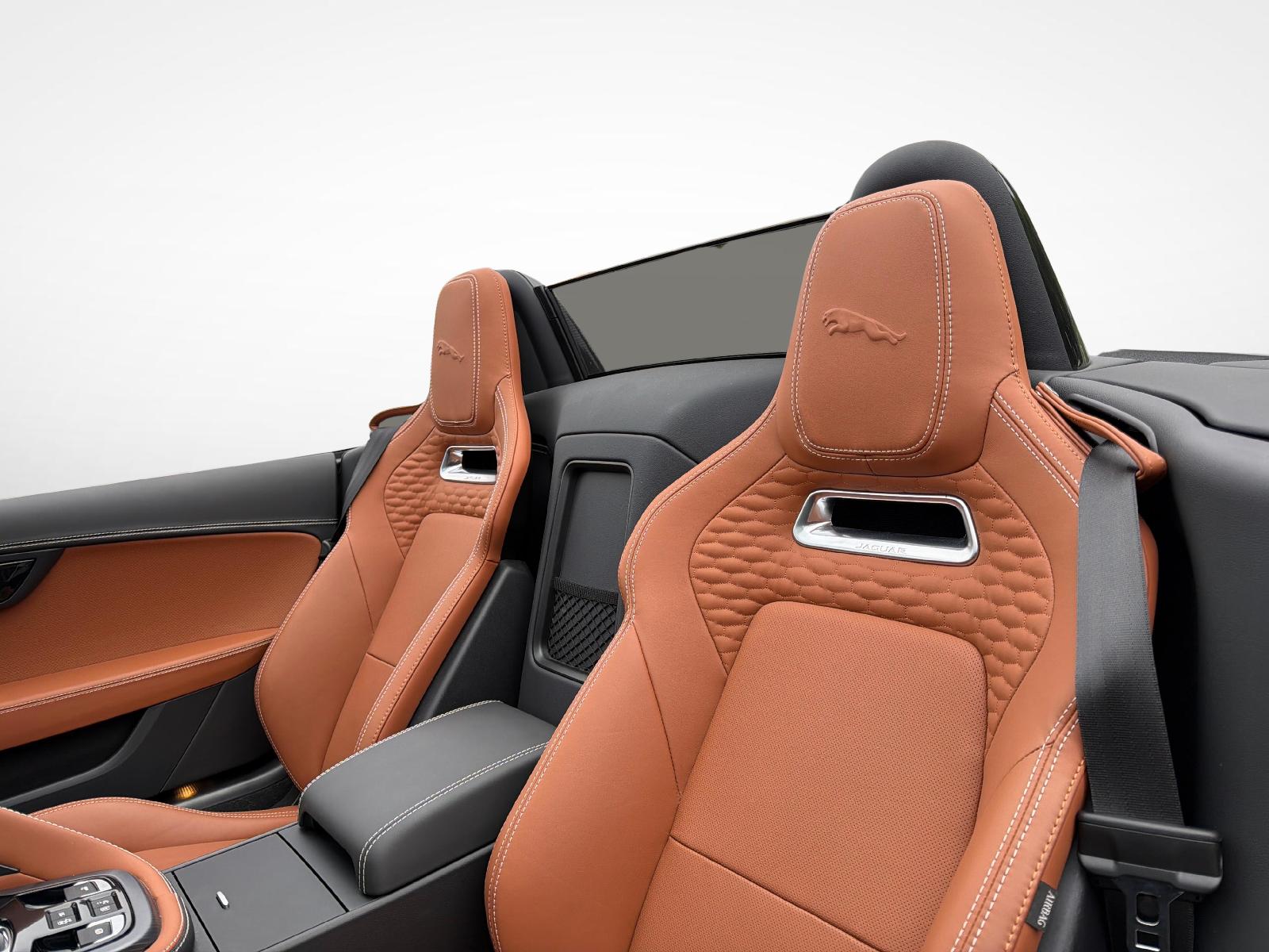 JAGUAR F-Type Convertible 2.0 R-Dynamic-showroom-element-2