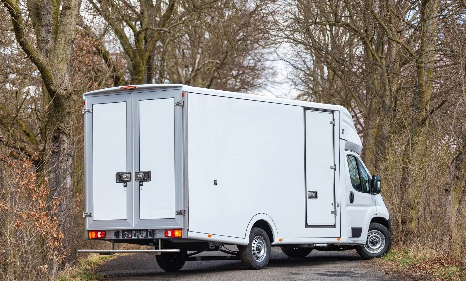 TOYOTA Proace MAX 2.2D Kühlwagen-image-4
