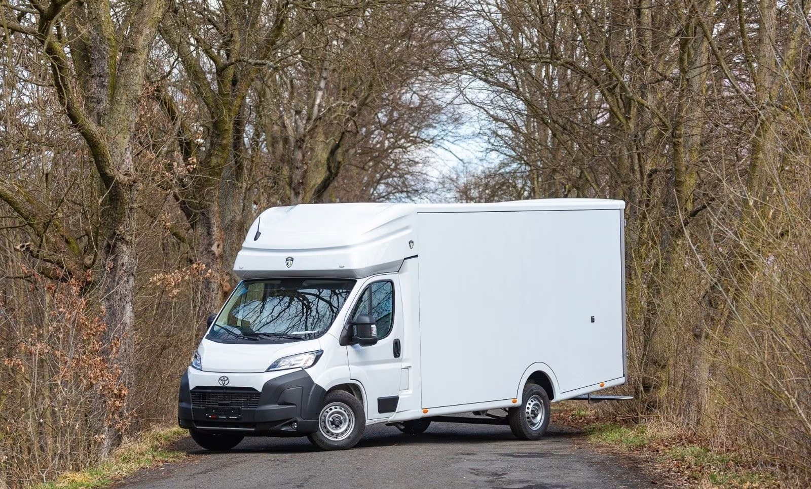 TOYOTA Proace MAX 2.2D Kühlwagen