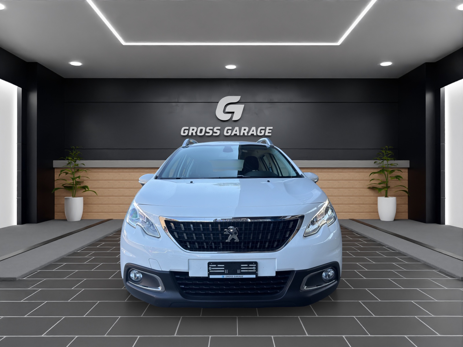 PEUGEOT 2008-showroom-element-1