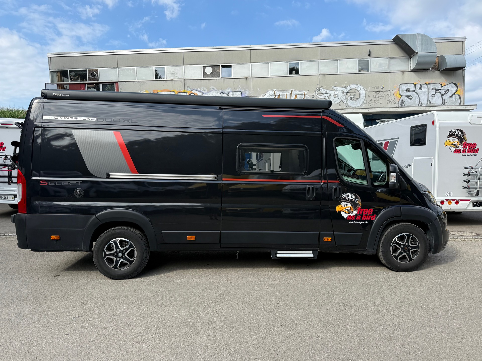 ROLLER TEAM Livingstone Duo XL Advance / L8