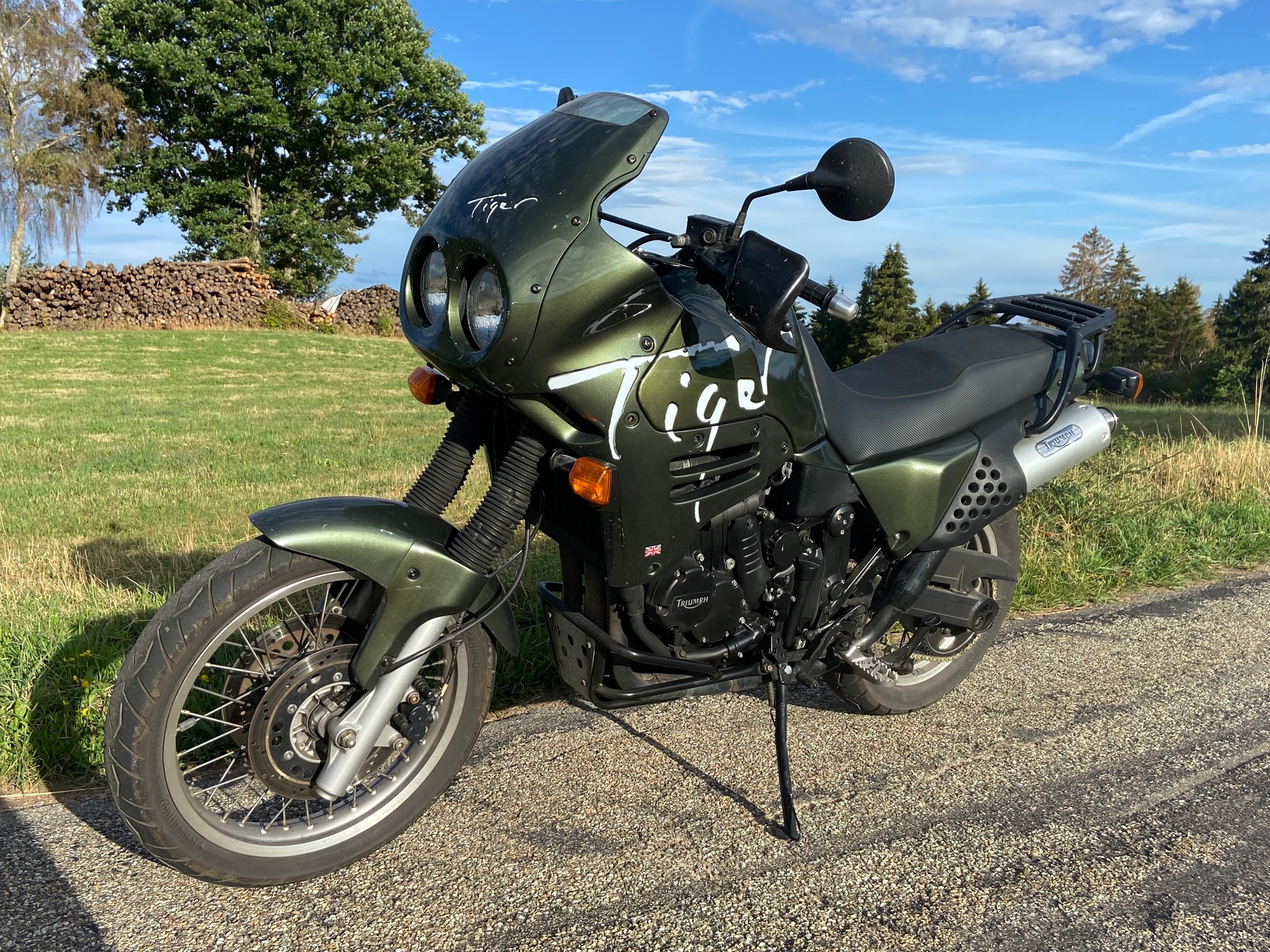 TRIUMPH Tiger 900-image-1