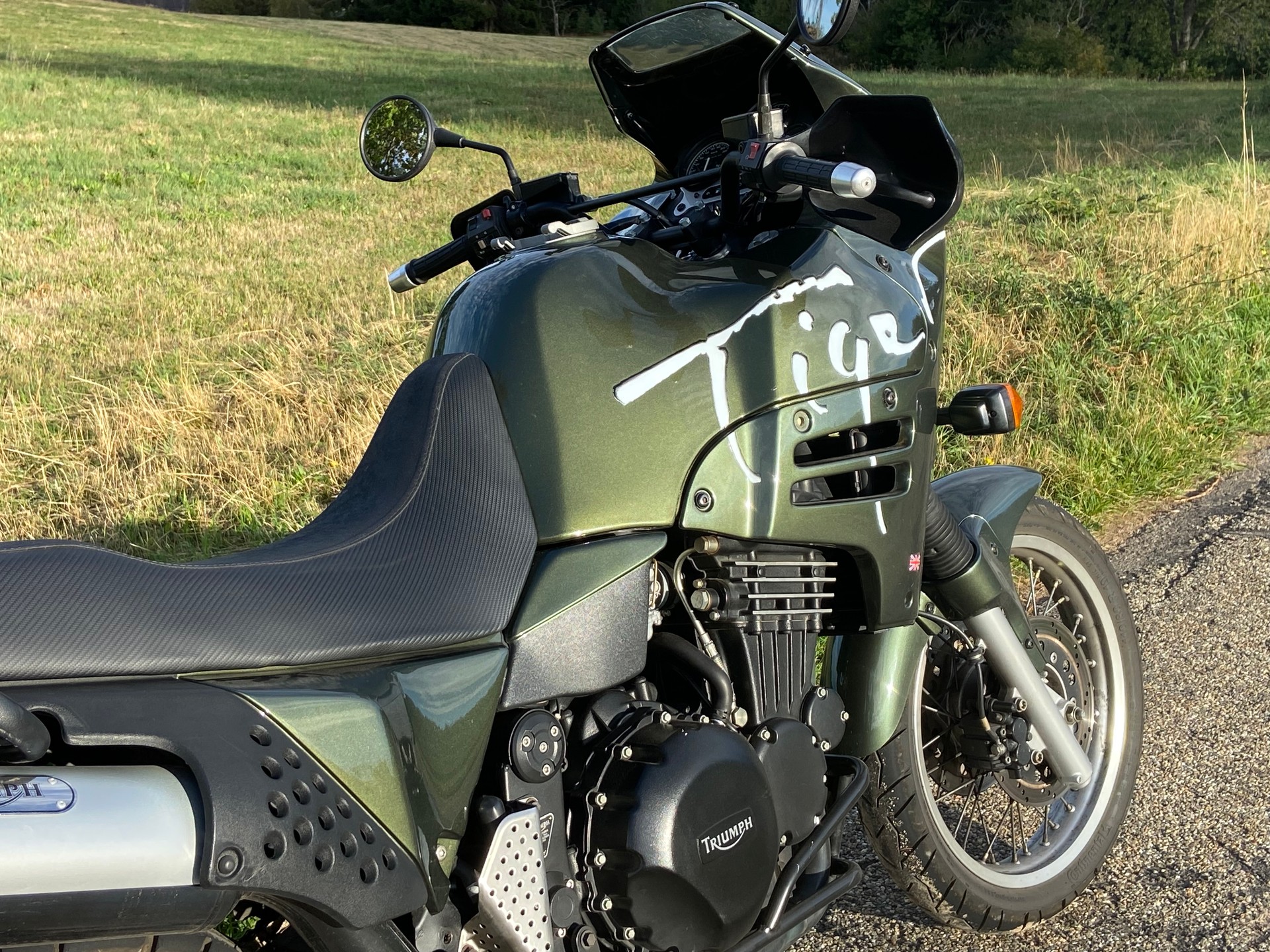 TRIUMPH Tiger 900-image-5