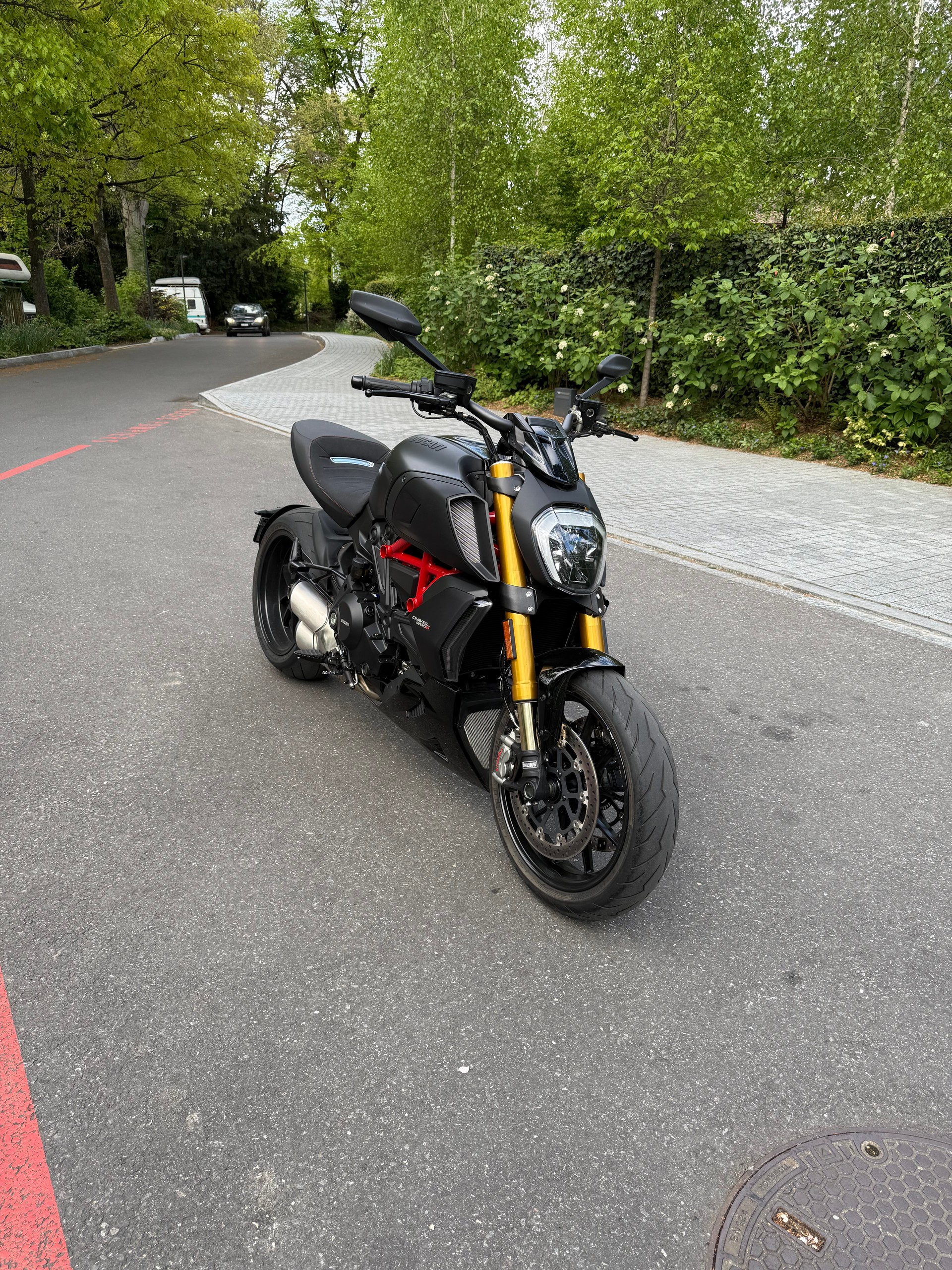 DUCATI Diavel 1260 S-image-1