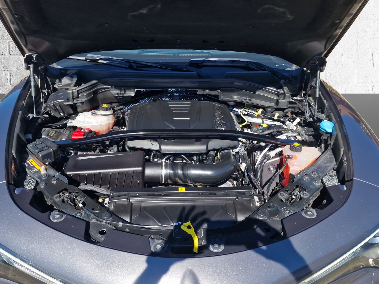 ALFA ROMEO Stelvio 2.0 Q4 Sprint-image-14
