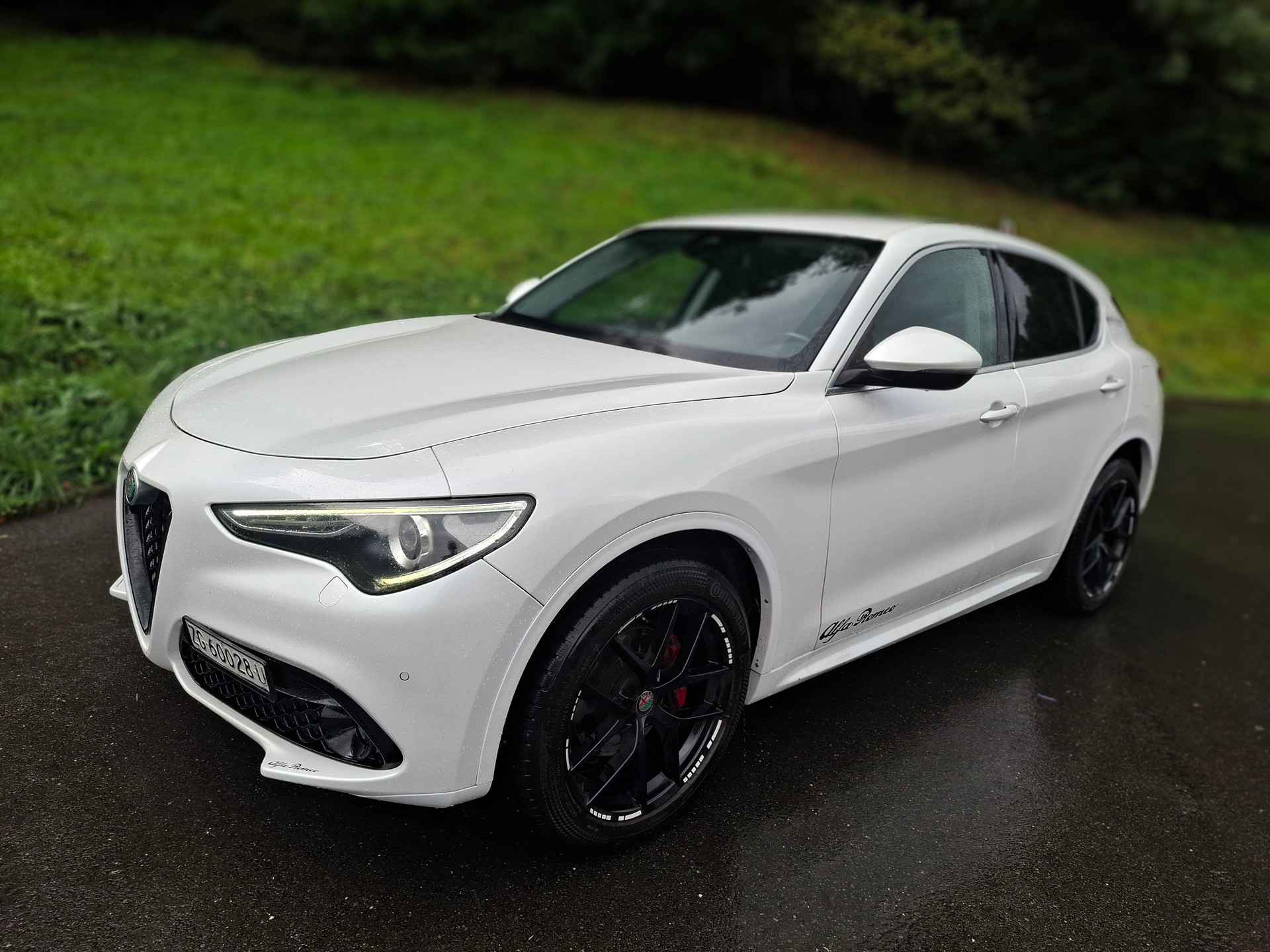 ALFA ROMEO Stelvio 2.2 JTDM Executive Q4 Automatic