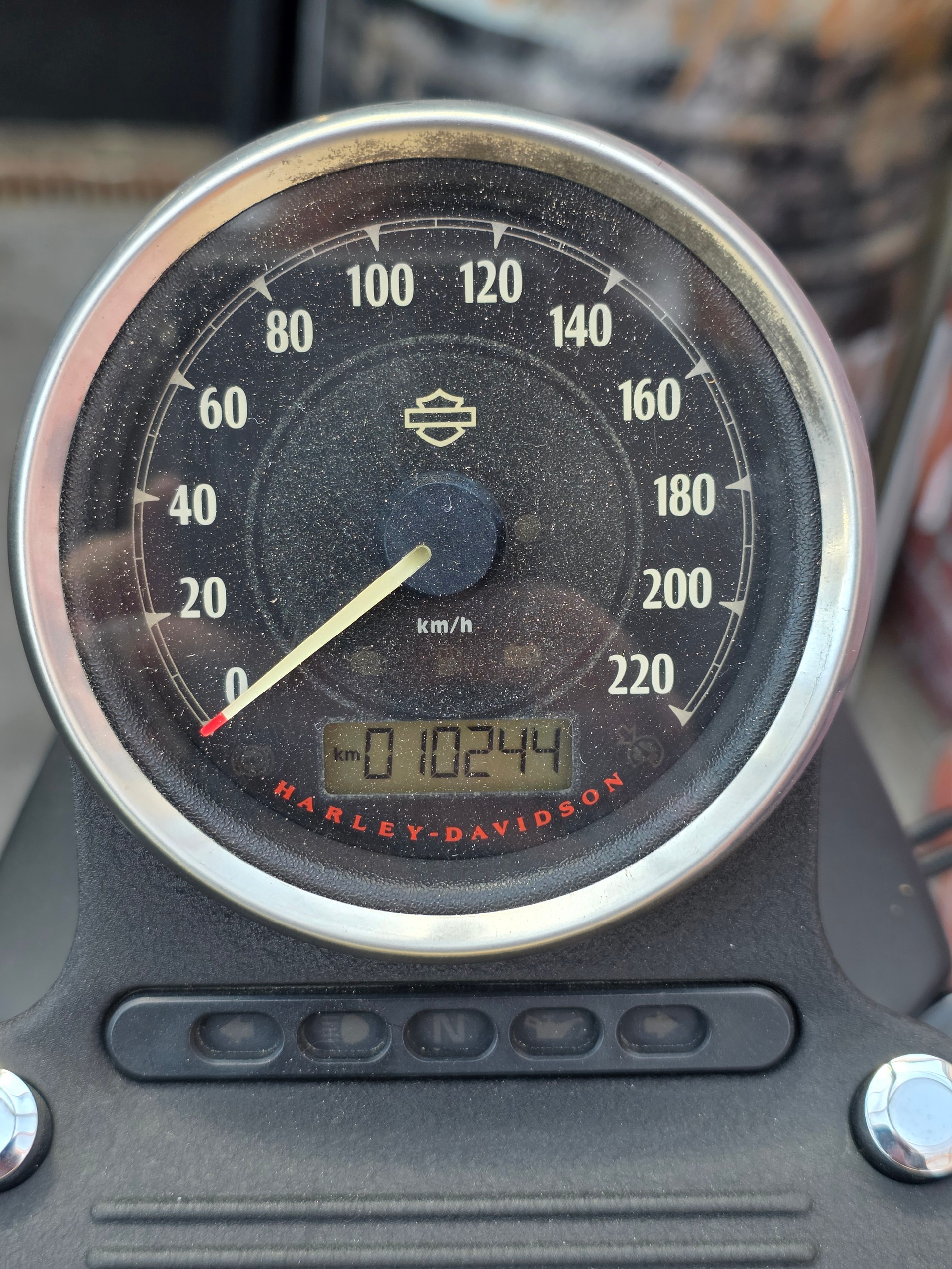 HARLEY-DAVIDSON XL 883 N Sportster Iron ABS-image-14